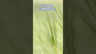 🔥 3º DIA DAS CAUSAS IMPOSSÍVEIS | O IMPOSSÍVEL JÁ ESTÁ SENDO MOVIDO POR DEUS! 🙏
