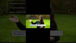 Save Buttonhook Forest News 12 Special Feature