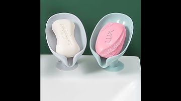 leaf shape sucker shop box drain soap holder box #shorts #shorts video #shorts song