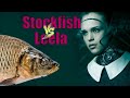 Лучшие шахматные движки в мире! Stockfish 🆚 Leela Chess Zero