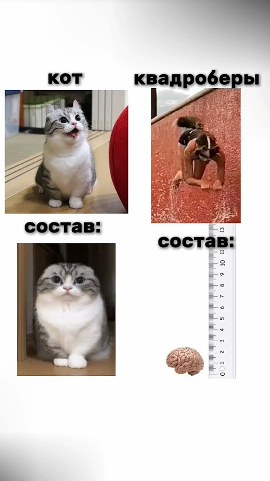 из чего состоят квадроберы: #мем #квадробика #состав #комару - YouTube