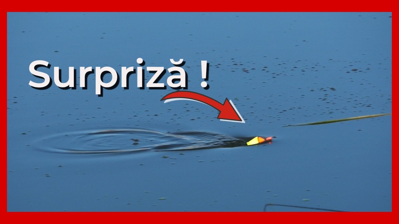 TEST cu pluta MECANICA la CRAP I Trasaturi, rateuri si concluzii!