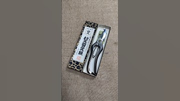 Cắt cành Bông lúa Murahisa 20cm 0376628645 @dungcubonsaihaidu #kéocắtcành #dungcubonsai #dungcu