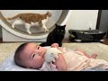 天使みたいな赤ちゃんにヤキモチを焼いた猫が可愛すぎた　