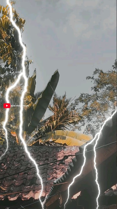 detik detik pohon kelapa tersambar petir langsung roboh
