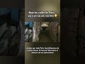 El oscuro misterio de las catacumbas de París #misteriosocultos