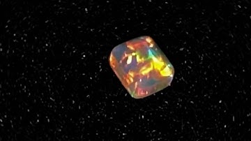 Gem opal cut from belemnite fossil.