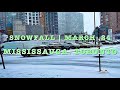 Snowfall in Mississauga. Toronto.