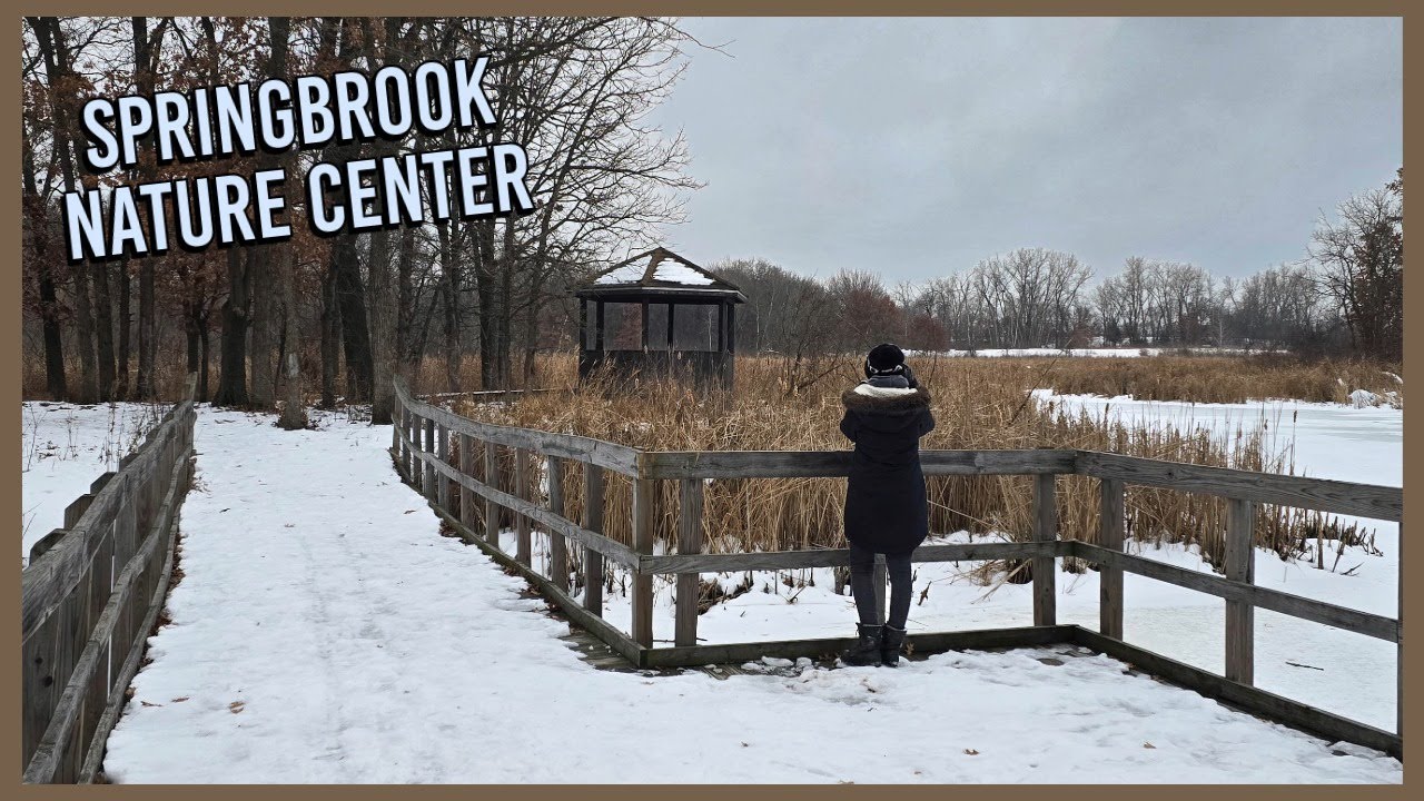 Зимние парки Миннесоты | Природный центр Спрингбрук