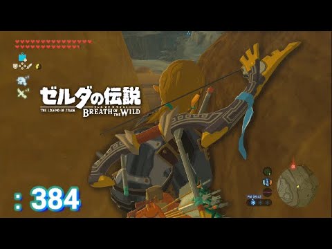 【ゼルダの伝説 冒険記 :384】最近の出来事をちょっとだけ【ゼルダの伝説 ブレスオブザワイルド】