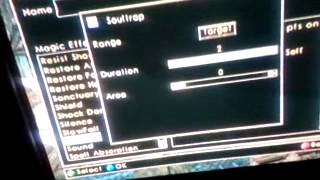 Morrowind best cheat codes ever