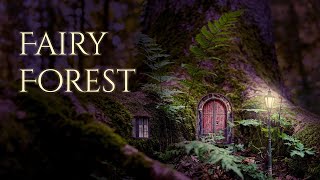 Fairy Forest Ambience and Music | sounds of magical forest in the evening with ambient fantasy music screenshot 5