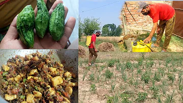 Chicken karela Banaya Ghar Pr | Aur  Sabziyon Ko Phal Wali Sapry kr Di | Village life