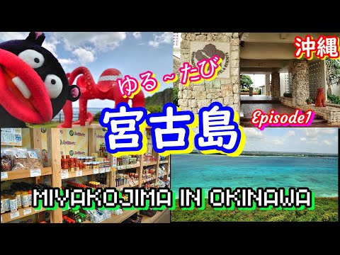宮古島🏝EP1❤ゆる旅in沖縄#HASAMER'S MART #島の駅みやこ #宮古空港 ♡観光・グルメ・ドライブ・ホテル情報を，ゆる～く紹介しています🏝旅の参考に☆食事のお供に☆暇つぶしに☆