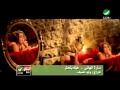 Sara El Hani Hek Btaamel سارة الهانى - هيك بتعمل