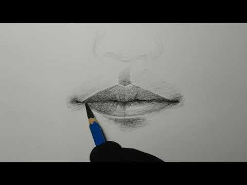 mouth drawing การวาดปาก
