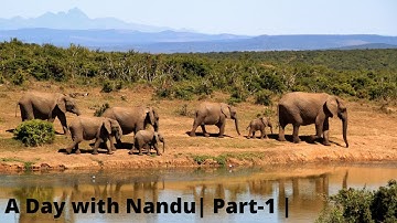 A Day with Nandu | Part-1| NCERT | CBSE | EVS | Class-4 | Chapter-3 |