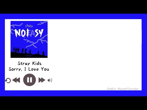 【Debbie韓中歌詞】Stray Kids(스트레이 키즈) - 좋아해서 미안 (Sorry, I Love You．對不起喜歡你)