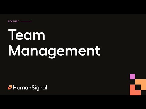 Team Management in Label Studio Enterprise