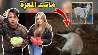 رحنا لجد و الجدة المعزة ماتت 😱😿_ اشترينا دجاج _ حياة الريف الاوكراني | مصطفى ستار