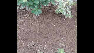 Zameen ke Godi. Zameen ke Godi Kay Faiday. Care of Soil, Plants & Garden. Easy Hoeing. Zamin Academy screenshot 4