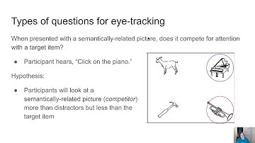 Lin490 - Visual World