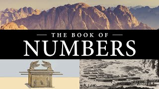 Numbers 26 KJV