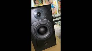 CRACKED SPEAKER
