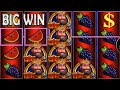 40 lucky king by egt  max bet big win