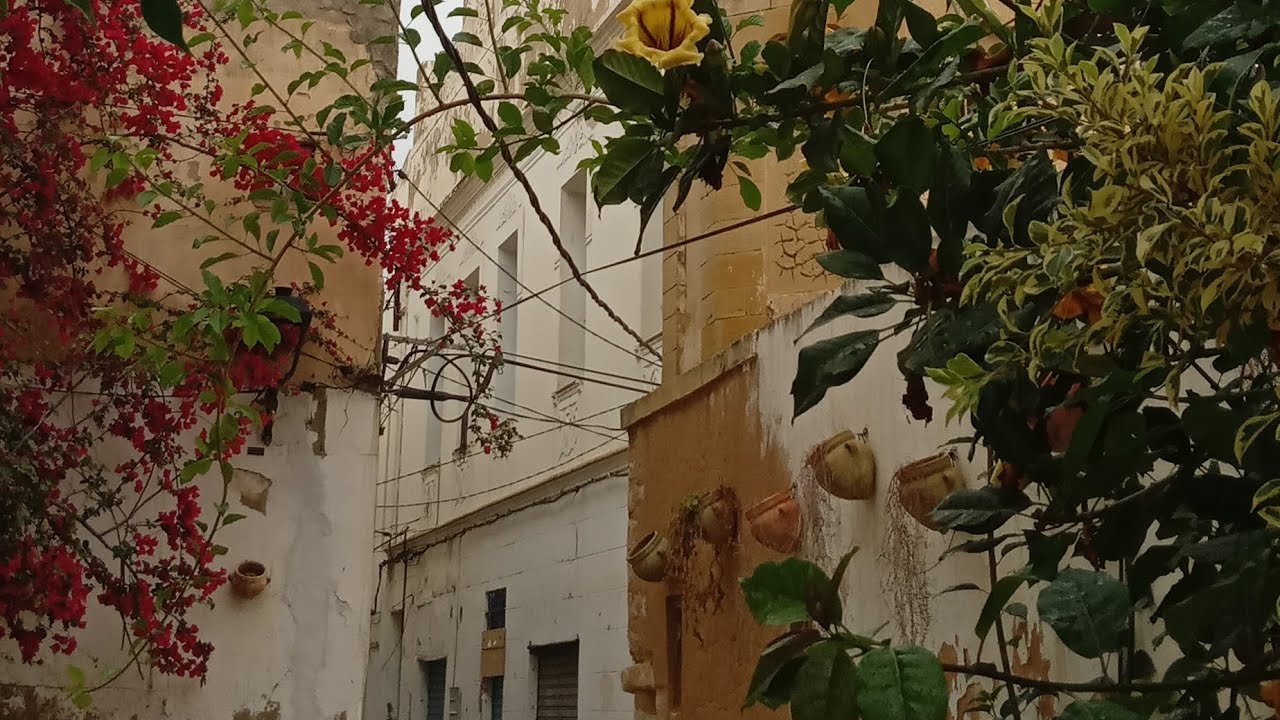 من النغمات الراقصة في صيادة و تسمى ضربة و لقشة