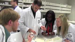 Transitions Of Care
