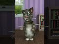 Talking Tom And Friends The Audition Season 1 Episode 0