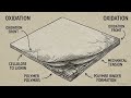 The Two-Front War on Paper | Science, Economics & Infrastructure Behind Modern Documents | Uplatz