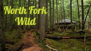 NORTH FORK WILD (Old Growth Forest Tour)