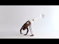 Die wichtigsten Capoeira-Übungen: Meia-Lua de Compasso