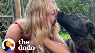 Lost Dog Can't Believe It's Really Her Mom | The Dodo