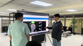 Cerebro's Interactive Simulations