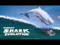 Shark evoluton