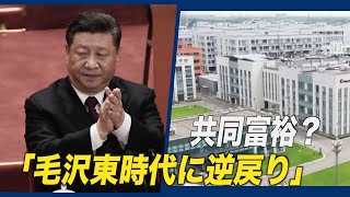 「共同富裕」？「毛沢東時代に逆戻り」