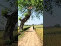 How long has it been since you last saw the changes in your hometown throughout the 12 mon