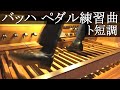 【パイプオルガン】バッハ : ペダル練習曲 ト短調 BWV598【未完】 (オルガン : 冨田一樹) Bach : Pedal-Exercitium【バロック】