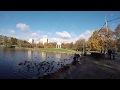 🌳🌲Тайна Петровско-Разумовской усадьбы в Москве!  ЧТО ПРЯЧЕТ ГОРОД!
