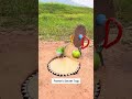 parrot secret trap. #comedy #comedy #funny #parrot