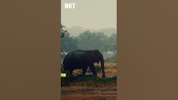 Botswana - Things you never knew