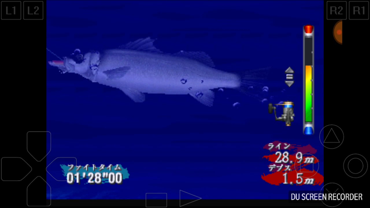 SEA BASS FISHING JAPAN - YouTube
