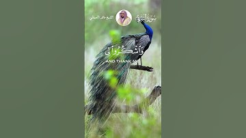 فَاذْكُرُونِي أَذْكُرْكُمْ وَاشْكُرُوا لِي وَلَا تَكْفُرُونِ (152)  #ماهر_المعيقلي  #سورة_البقرة