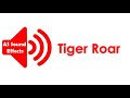 Tiger Roar  Sound Effect HD (No Copyright) | AS Sound Effects 2021