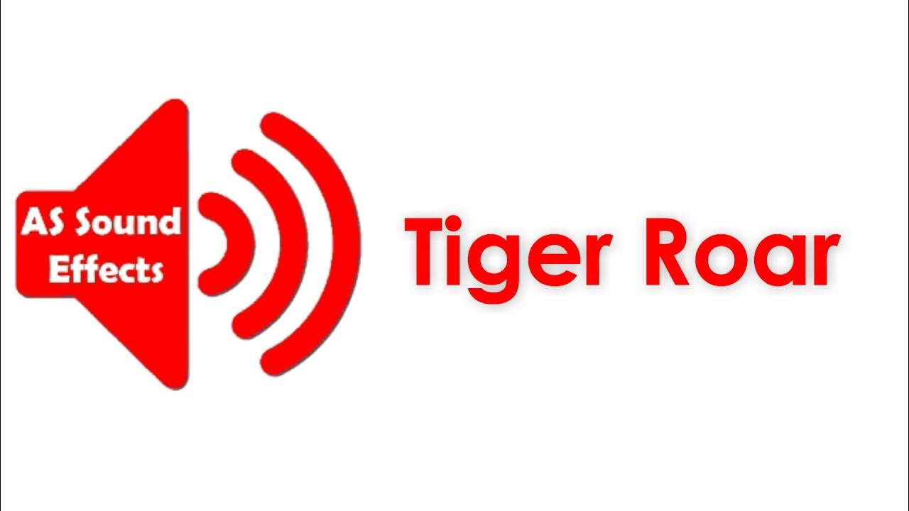 Tiger Roar Sound Effect HD (No Copyright) AS Sound Effects 2021 YouTube
