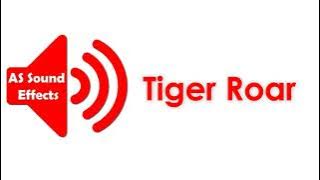 Tiger Roar  Sound Effect HD (No Copyright) | AS Sound Effects 2021