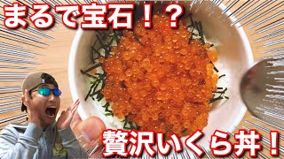 【実食・ふるさと納税】贅沢の極み！絶品いくら丼をお家で好きなだけ♬